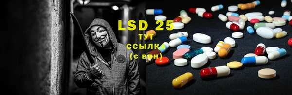 ГАЛЛЮЦИНОГЕННЫЕ ГРИБЫ Аркадак