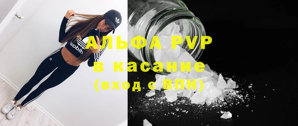 индика Балахна