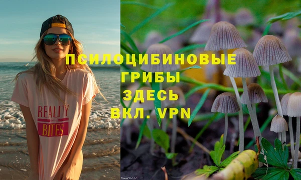 таблы Армянск