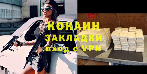 индика Балахна