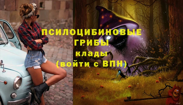 ГАЛЛЮЦИНОГЕННЫЕ ГРИБЫ Балабаново