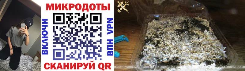 Галлюциногенные грибы Psilocybine cubensis Руза